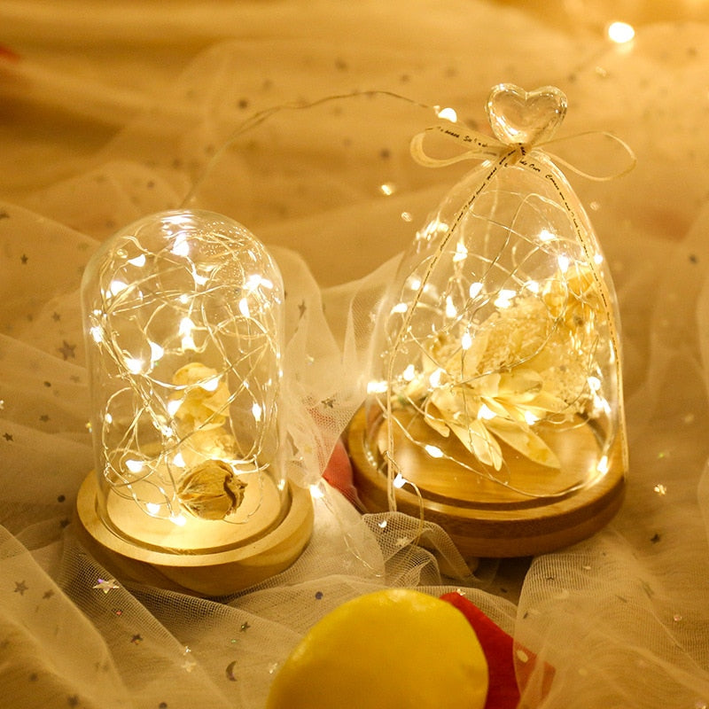 LED Fairy Lights