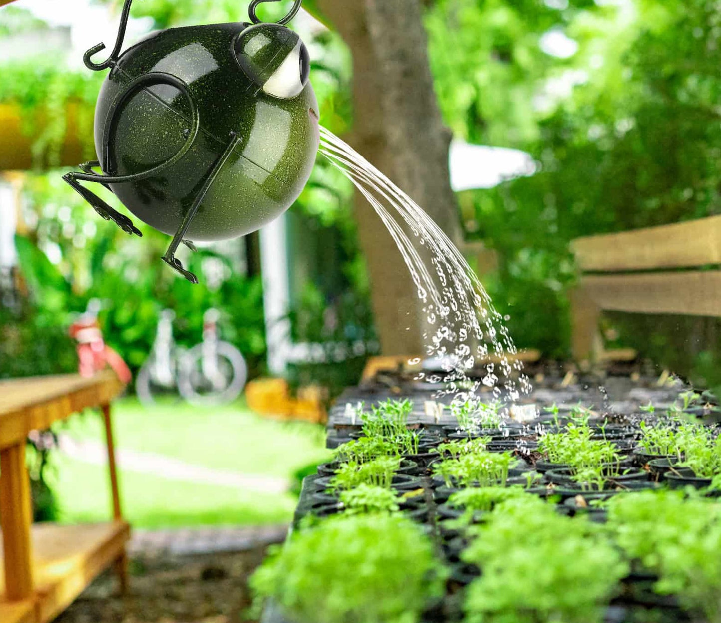 Iron Frog Watering Can