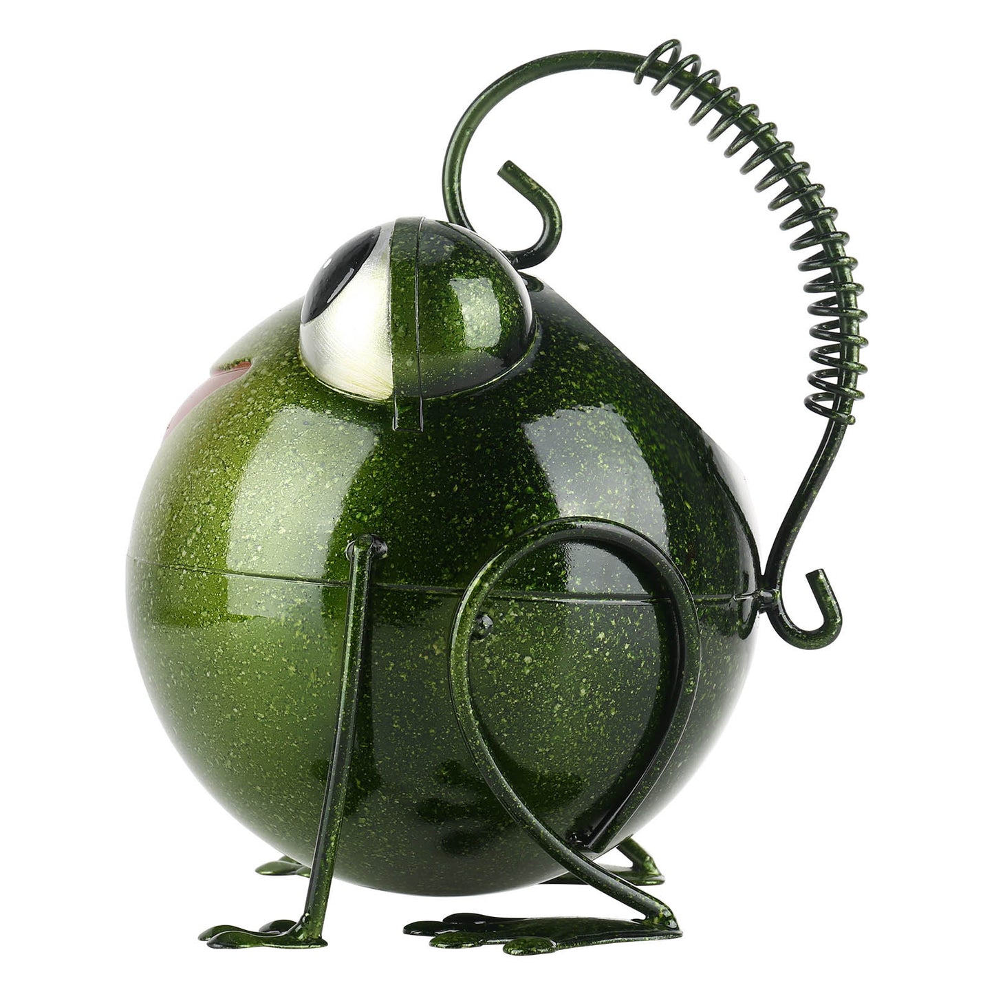 Iron Frog Watering Can