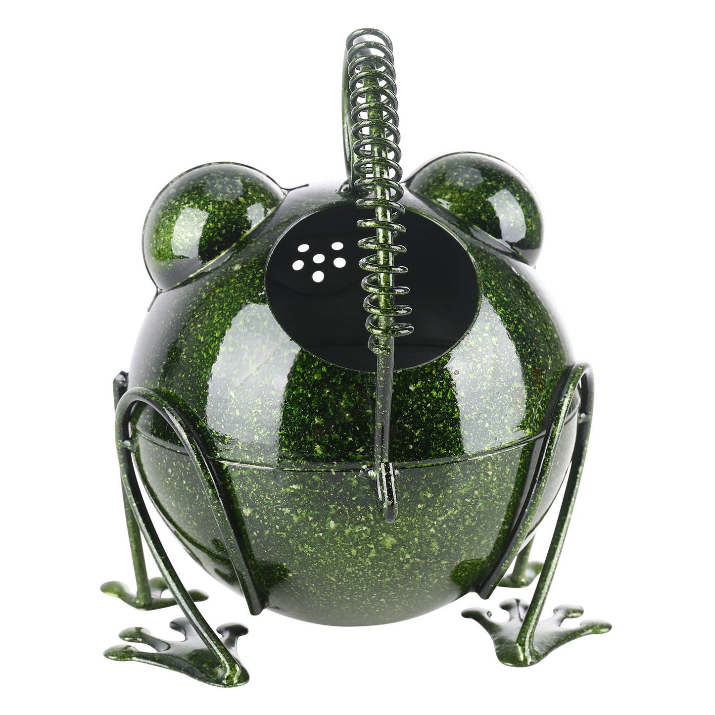 Iron Frog Watering Can